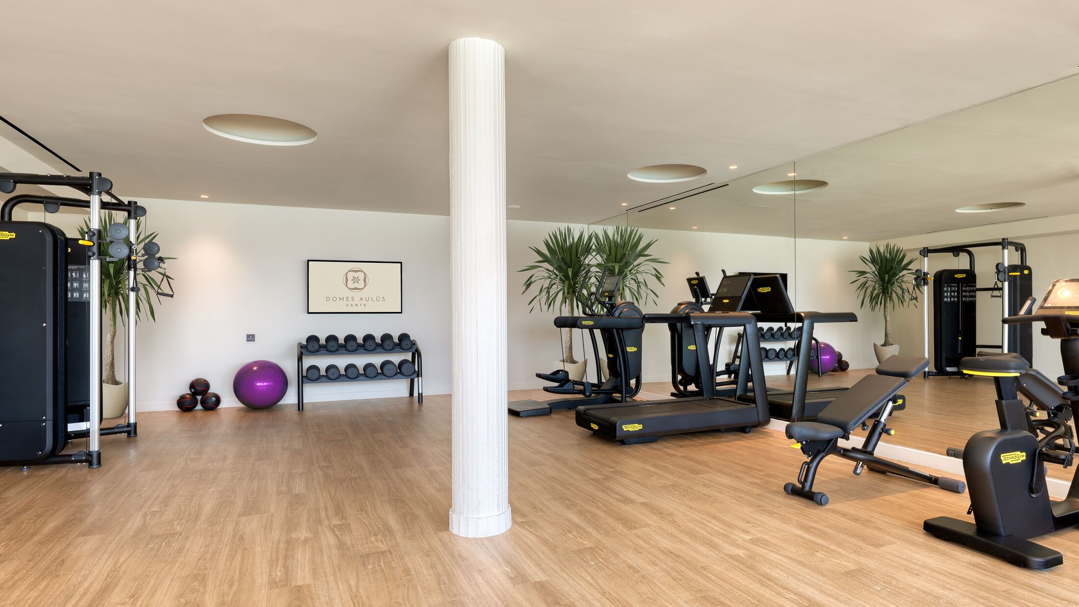 Domes-Aulus-2023-Gym-001-121813-Hybris