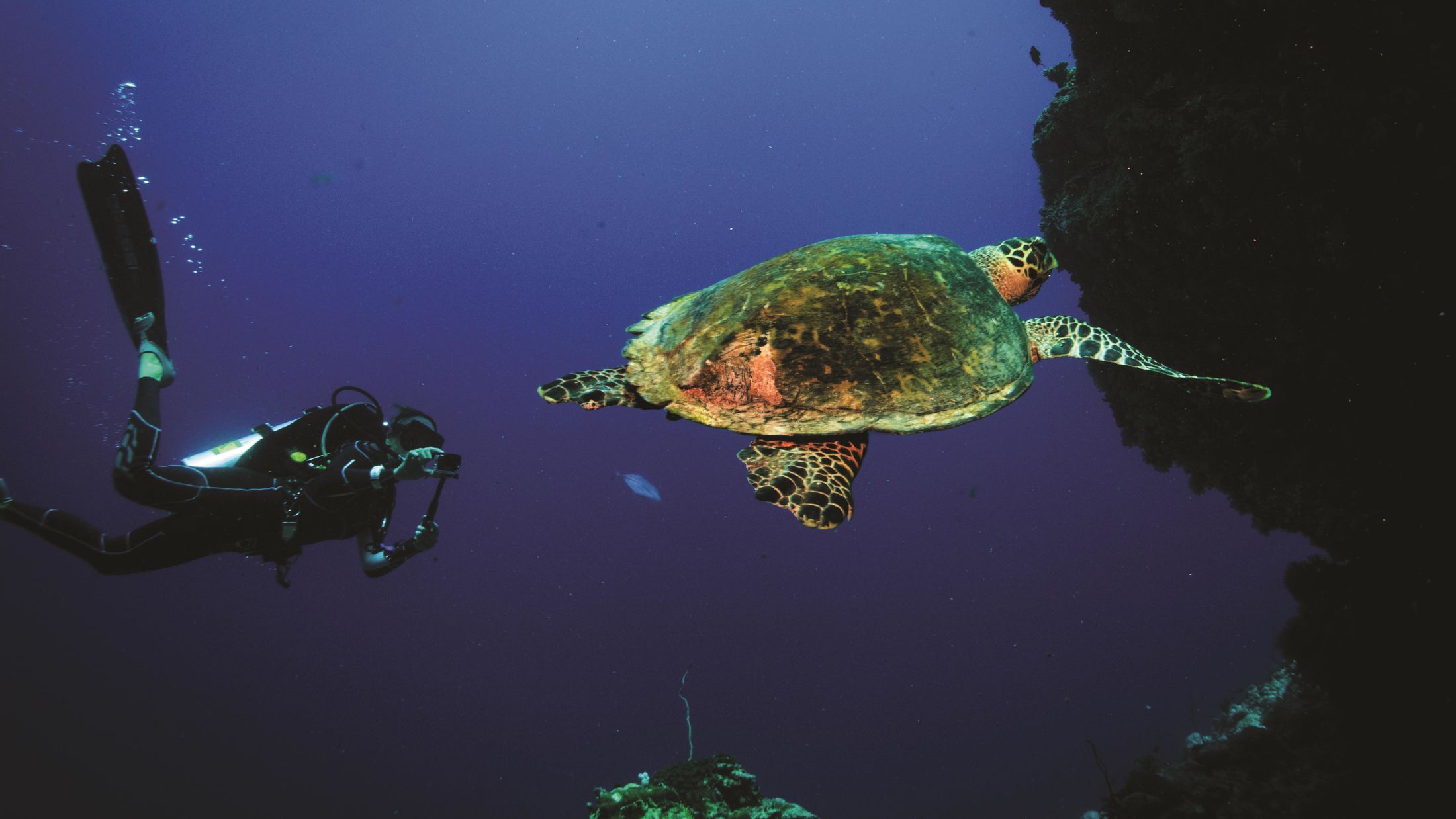 120975-House-Reef-003-Hybris