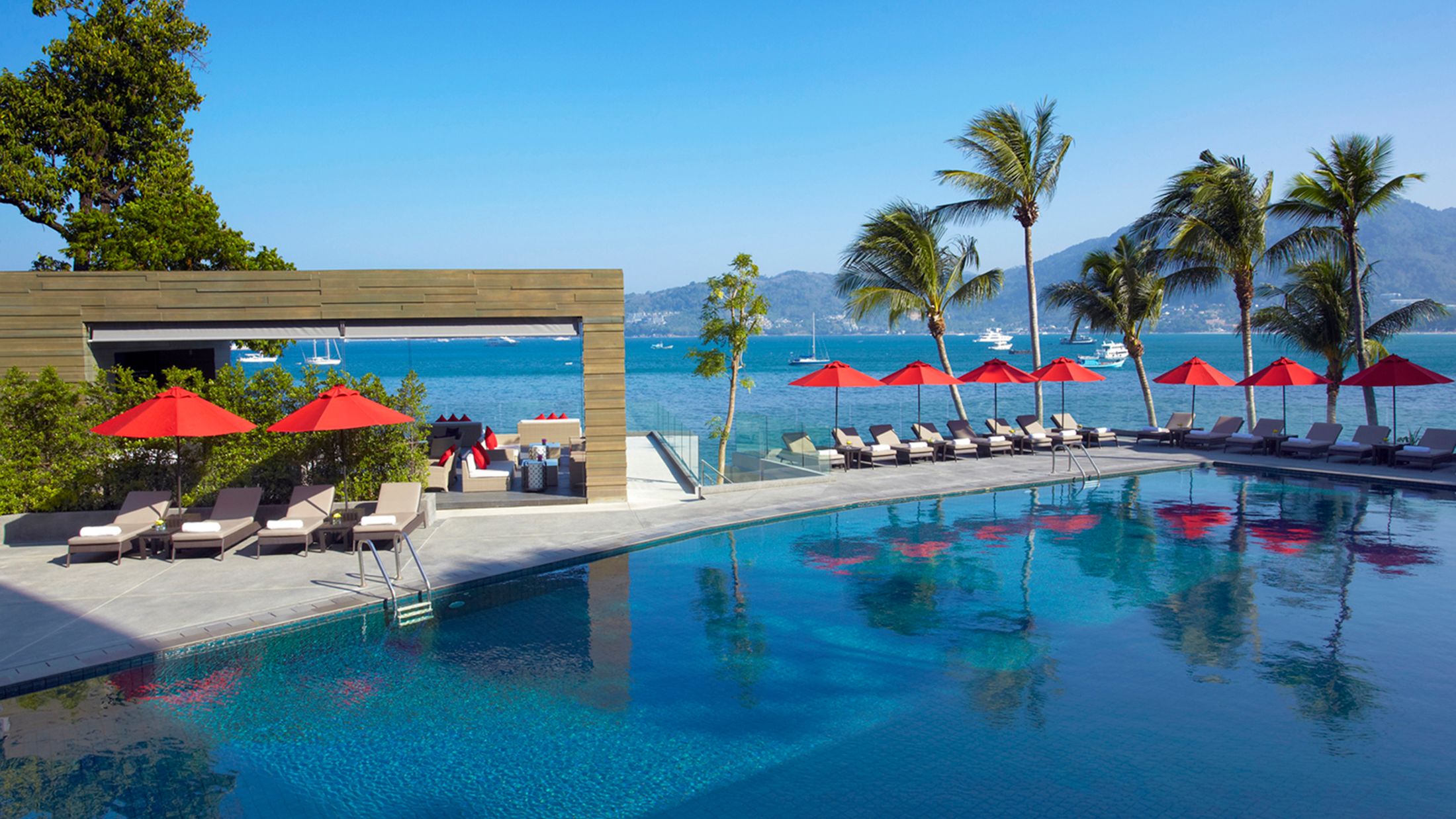a group of palm trees next to a pool of water