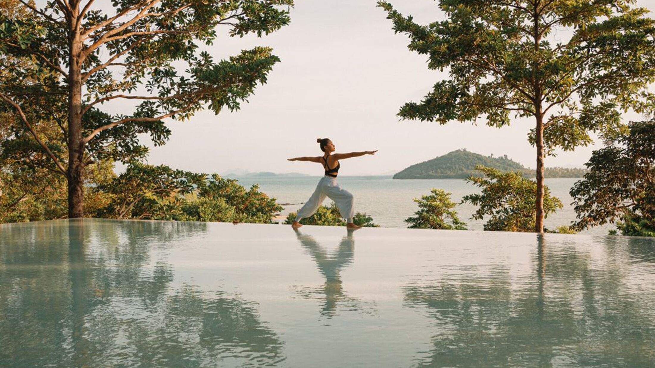 a bird flying over a body of water