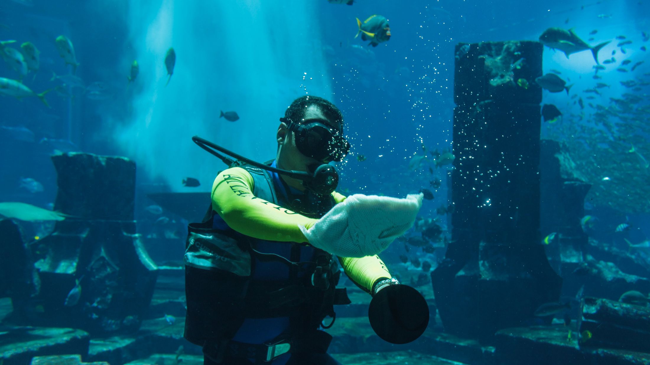 116853_Tank Cleaner Atlantis The Palm_Dubai_M Johnstone_Fam Trip_June 2015-001-Hybris