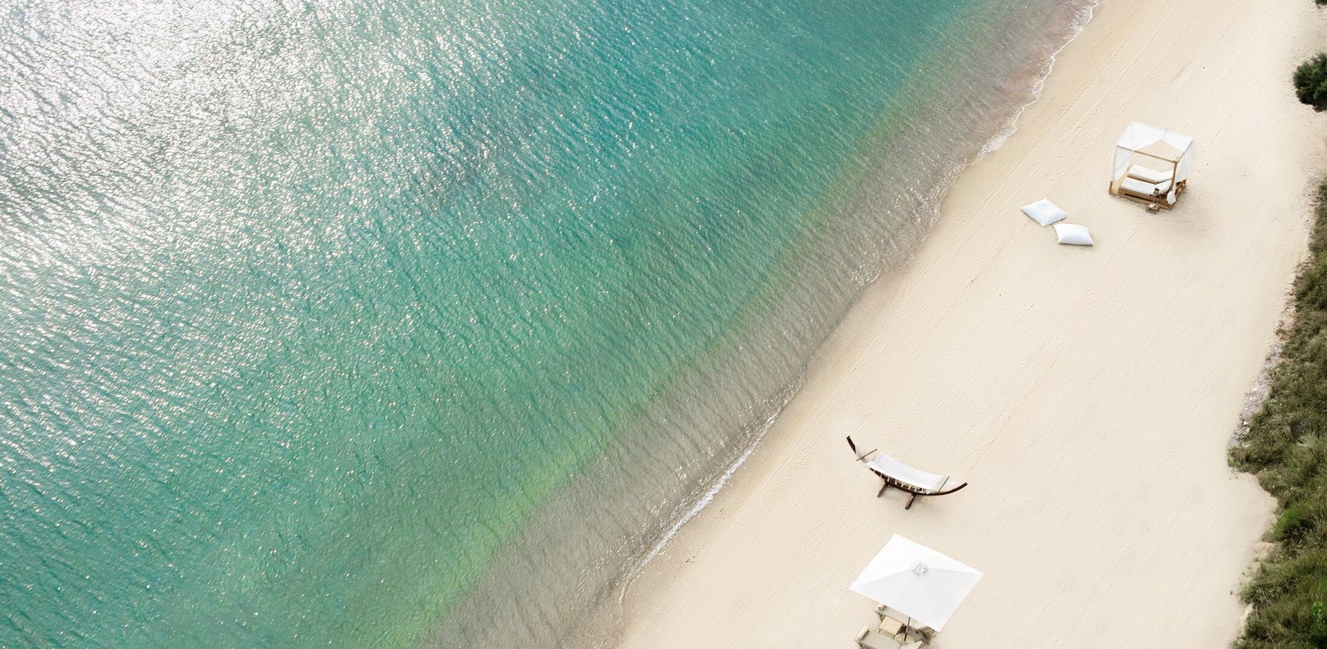 a bird flying over a beach