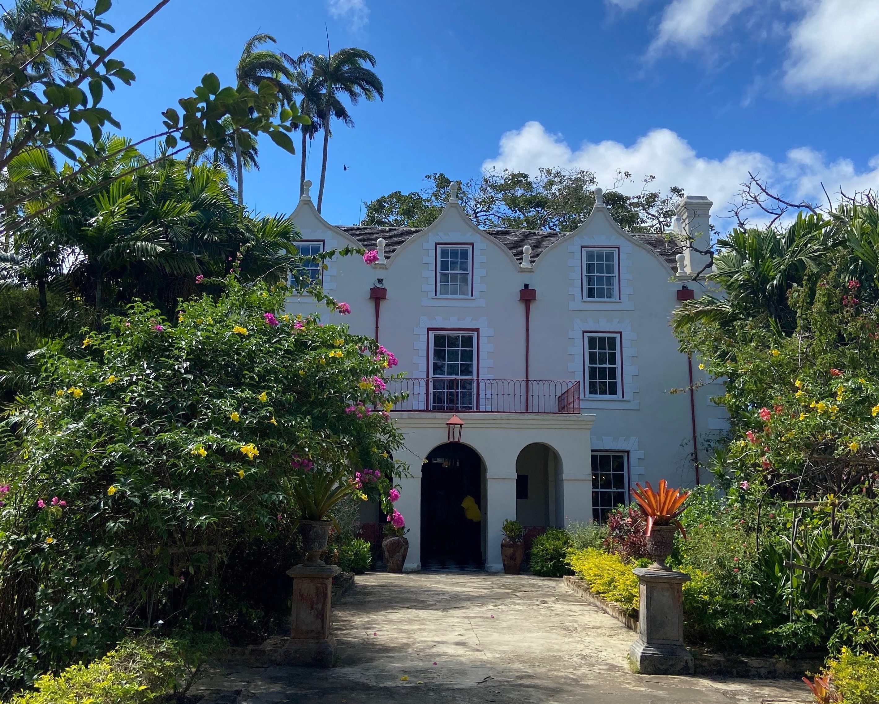 a tree in front of a house