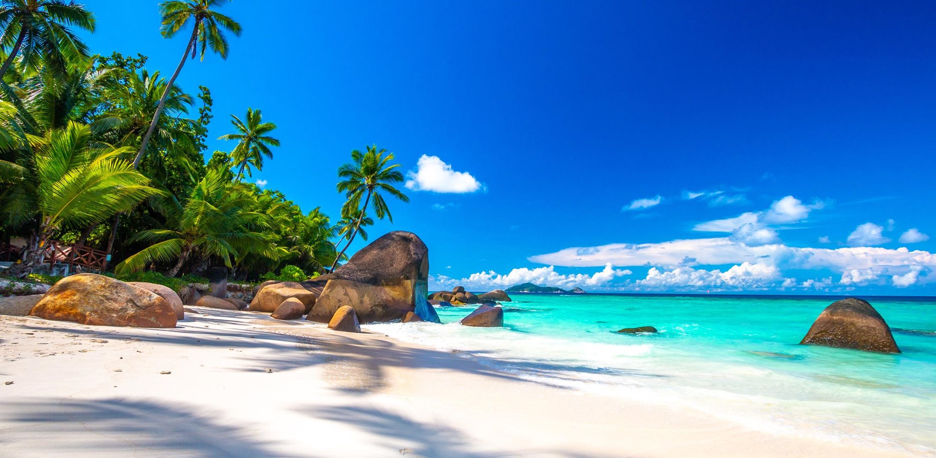 a group of people sitting at a beach