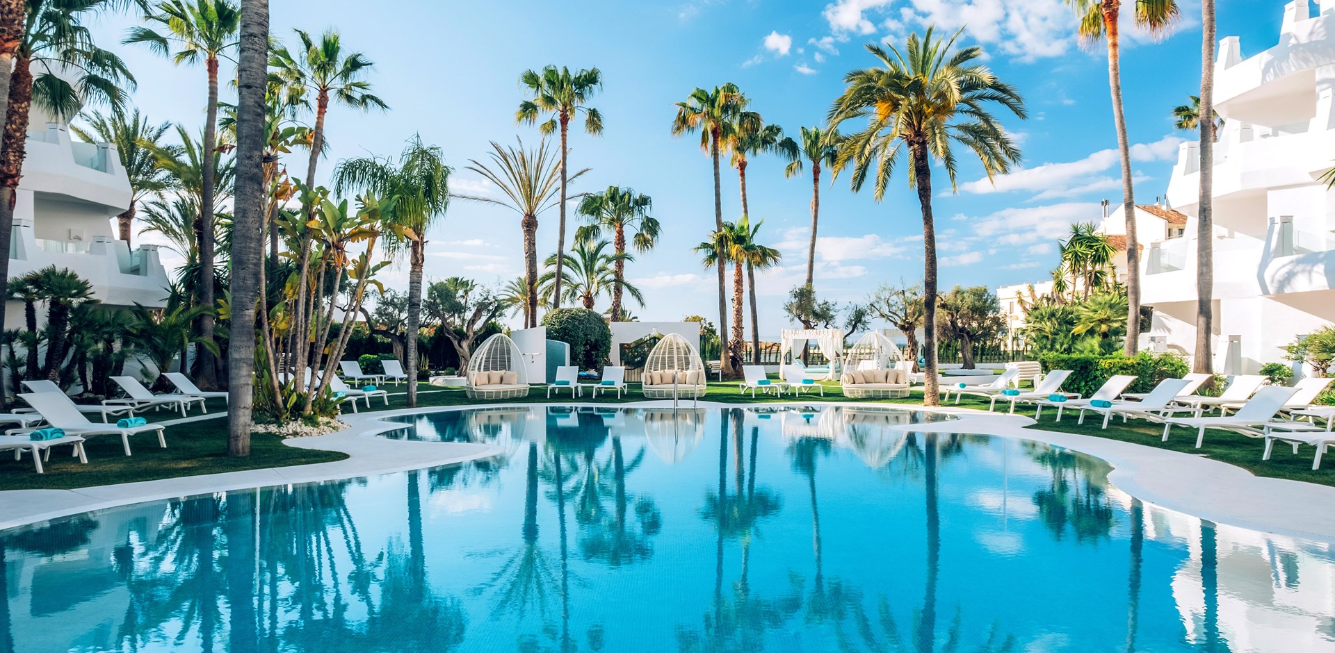 a group of palm trees next to a pool of water