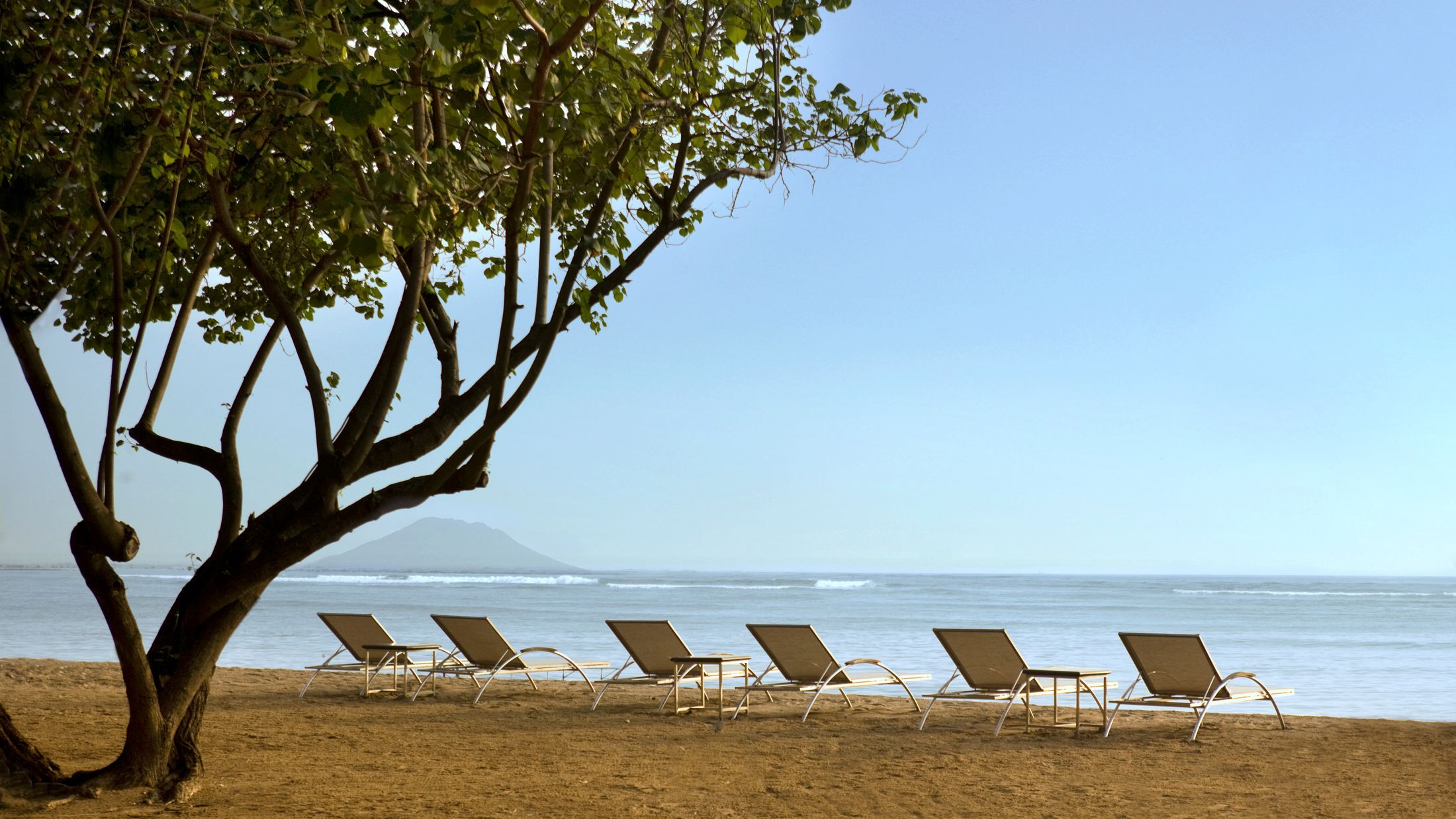 a couple of palm trees on a beach