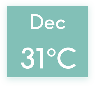 graphical user interface, application