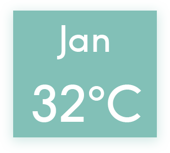 graphical user interface, application