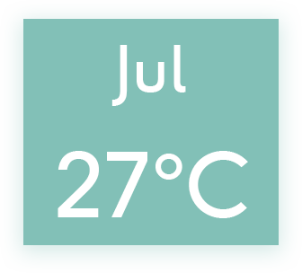 graphical user interface, application