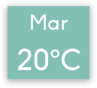 graphical user interface, application