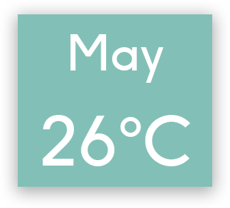 graphical user interface, application