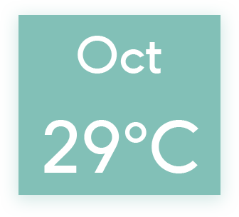 graphical user interface, application, chat or text message