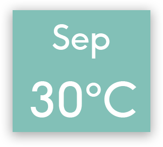 graphical user interface, application